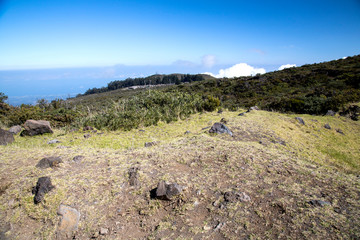 Fototapeta na wymiar Hawaii - Maui - Haleakala