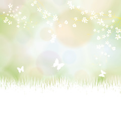Fototapeta premium Colorful summer spring background with flowers and butterfly