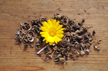 Tisane 草本茶 Herbal tea Kräutertee Травяной чай