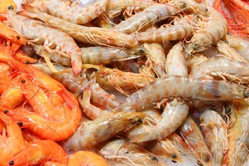 Seafood market in Boqueria, Barcelona