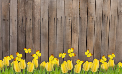 Old wooden fence and flowers.
