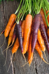 colored carrots on wooden surface