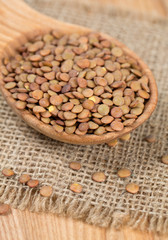 brown lentils in a wooden spoon