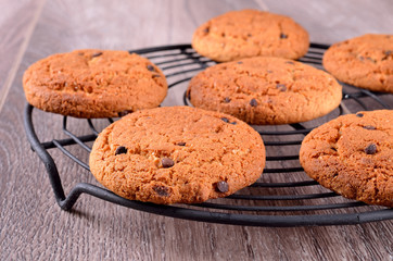 Biscuits with chocolate drops