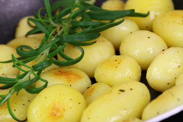 Roasted baby potatoes with rosemary, close up