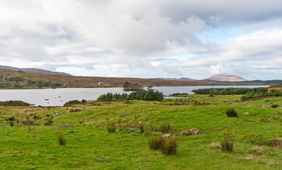 Fototapeta premium Connemara