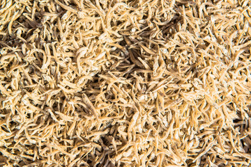 Dried tiny fish