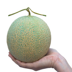 cantaloupe melon isolated on white