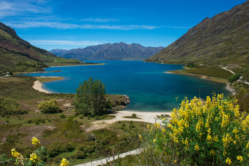 Naklejka premium Beauful landscape New Zealand.