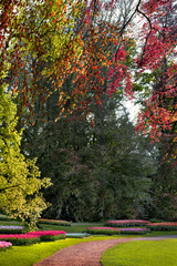 Naklejka premium Group of tulips and hyacinths in the park. Spring landscape.