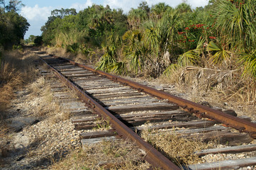 Railroad tracks in florida wilderness © Stephen Orsillo