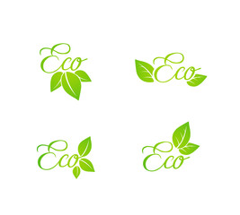 Set of green leaf eco concept icons