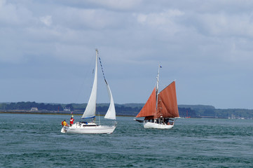 Fototapeta premium Voilier et Sinagot dans le Golfe du Morbihan