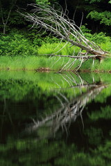 志賀高原　長池