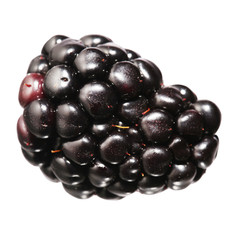 Blackberry isolated on white