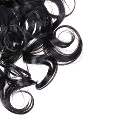 Curly Black Hair isolated in white. Brunette