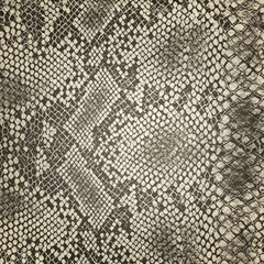 Animal body skin pattern