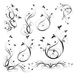 floral design elements set