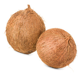 coconuts