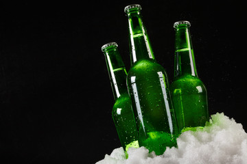 beer bottles in snow