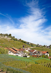 Lavaux region