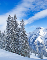 Winter in alps