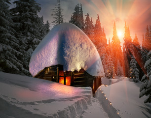 Fototapety na wymiar - Fototapeta24.pl