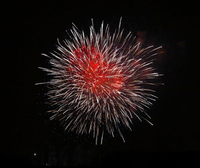 Firework