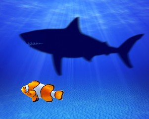 Small fish thinking to be big shark