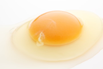 たまご