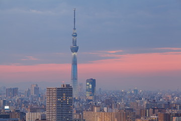 Fototapeta na wymiar Widok Tokyo Sky Tree