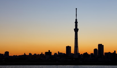 Obraz premium tokyo skytree with Mt Fuji , sihouette skyline