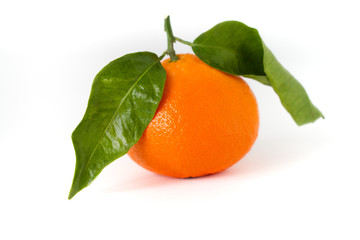 Mandarine mit Blätter