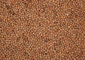 Green lentils background