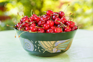 Fresh ripe organic red cherries in summer garden