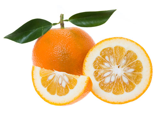 Bitter orange (Seville orange, bigarade orange)