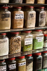 Composition of many different spices teas and herbs