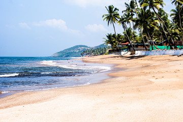 Anjuna beach panorama with white sand and palms,Goa,India - obrazy, fototapety, plakaty