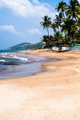 Anjuna beach panorama with white sand and palms,Goa,India