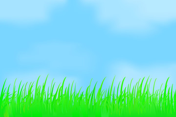 Fototapeta na wymiar Green grass against the misty sky.