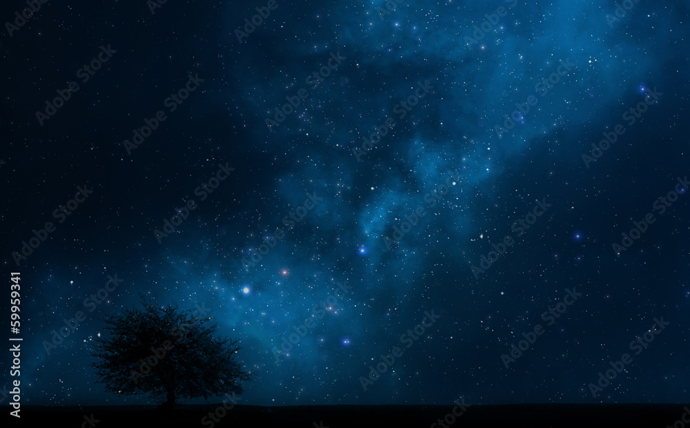 Wall mural night sky with a tree and milky way