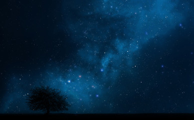 Night sky with a tree and milky way