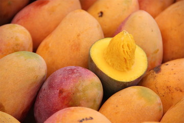 Mangue fruit