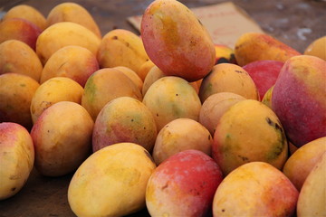 Mangue fruit