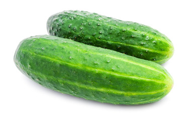 Fresh cucumber