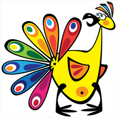 multicolor peacock isolated on white background