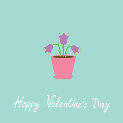 Violet  flower in pot. Happy Valentines Day card.