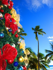 Sapin de Noël dans les Caraïbes