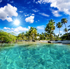 Caribbean: Lonely beach :)