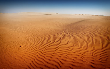 sahara desert